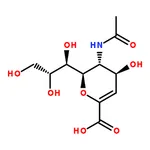 RHAWN <i>N</i>-Acetyl-2,3-didehydro-2-deoxyneuraminic Acid