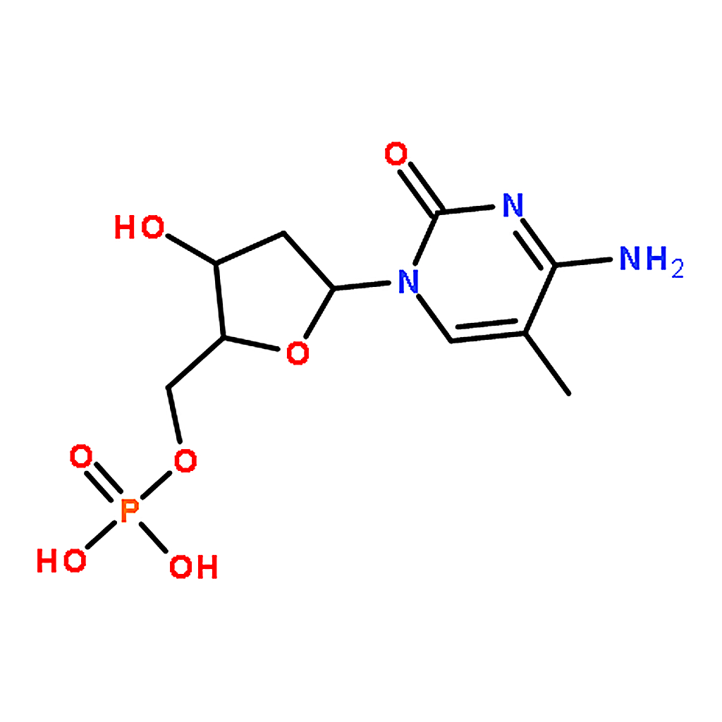 RHAWN 5-Methyl-2'-deoxycytidine 5'-monophosphate