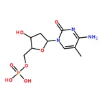 RHAWN 5-Methyl-2'-deoxycytidine 5'-monophosphate