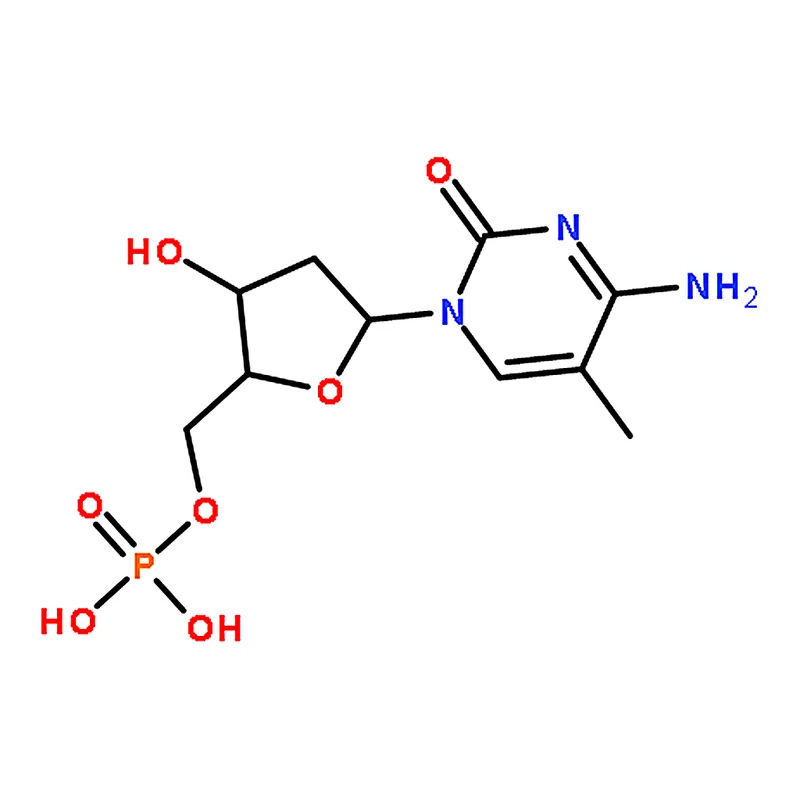 RHAWN 5-Methyl-2'-deoxycytidine 5'-monophosphate