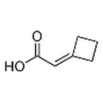 RHAWN 2-Cyclobutylideneacetic acid