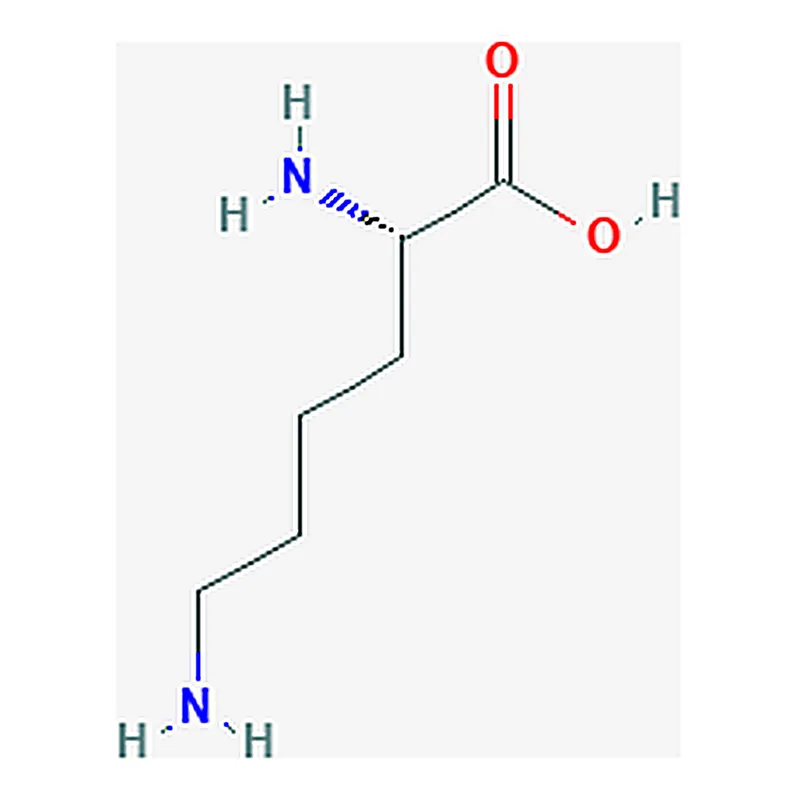 RHAWN POLYLYSINE