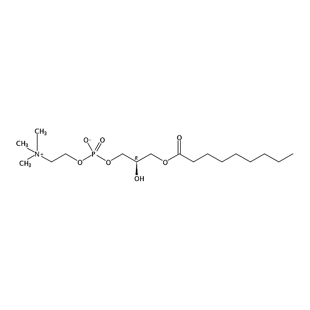 RHAWN 1-nonanoyl-2-hydroxy-sn-glycero-3-phosphocholine