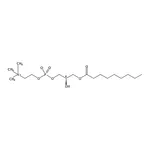 RHAWN 1-nonanoyl-2-hydroxy-sn-glycero-3-phosphocholine