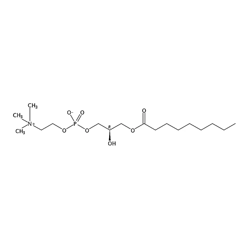 RHAWN 1-nonanoyl-2-hydroxy-sn-glycero-3-phosphocholine
