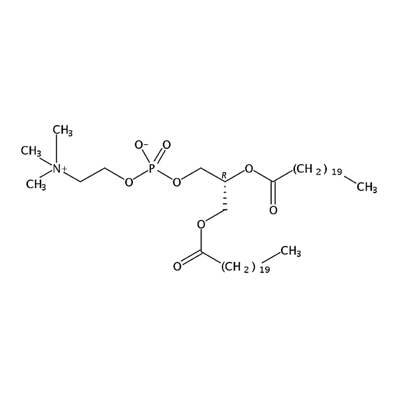 RHAWN 1,2-dihenarachidoyl-sn-glycero-3-phosphocholine