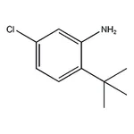 RHAWN 2-(tert-Butyl)-5-chloroaniline
