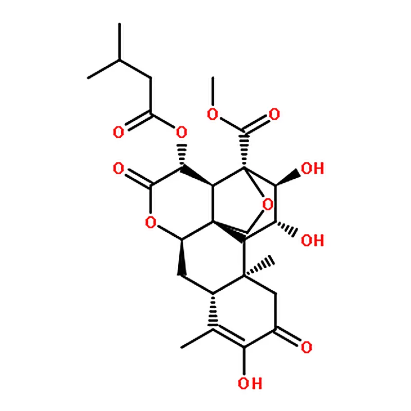 RHAWN BRUCEIN A