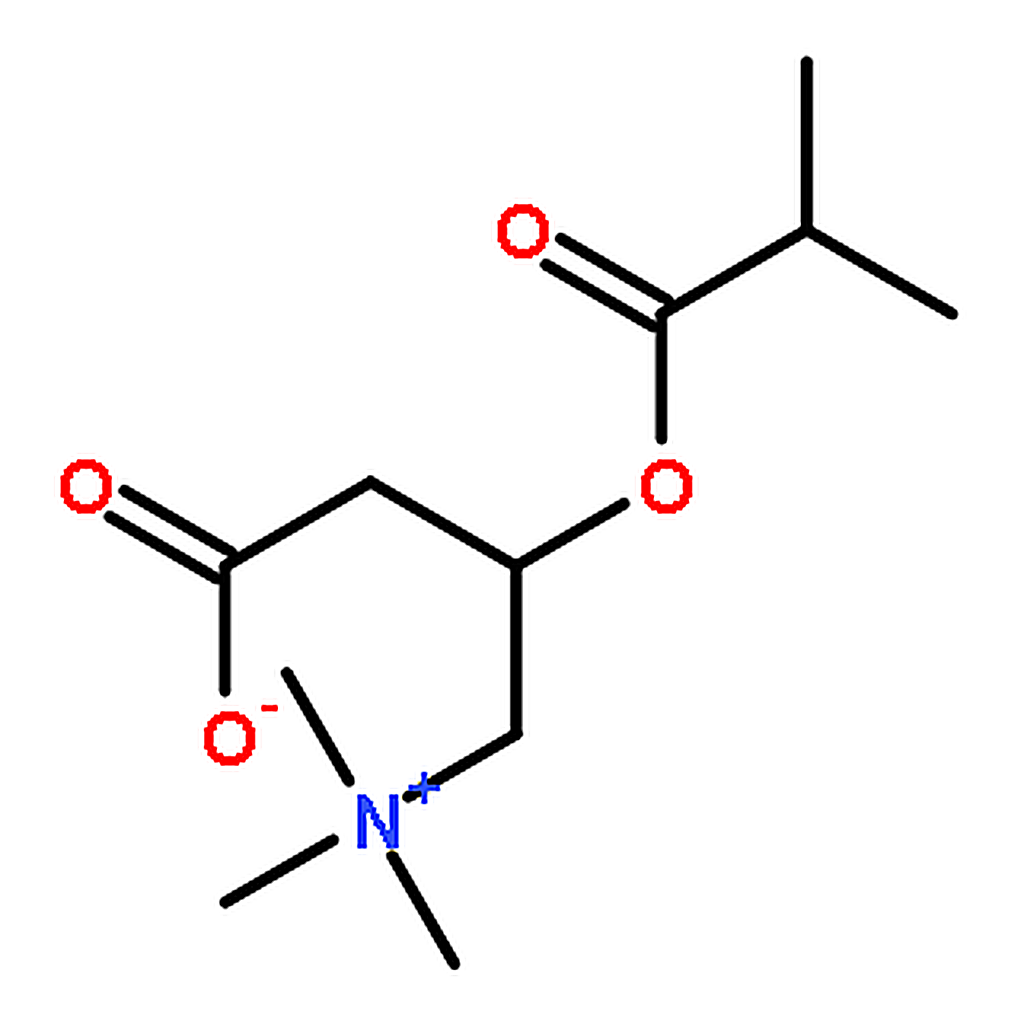 RHAWN Isobutyryl-L-carnitine