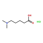 RHAWN 5-(Dimethylamino)pentanoic Acid Hydrochloride