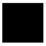 RHAWN 6,8-Difluorochroman-4-one