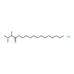 RHAWN Dodecyl 2-(dimethylamino)propanoate hydrochloride