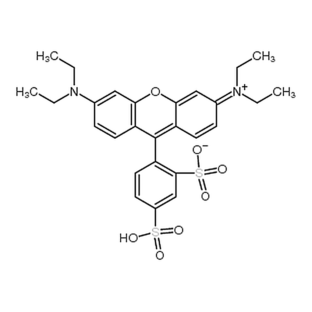RHAWN Sulforhodamine B