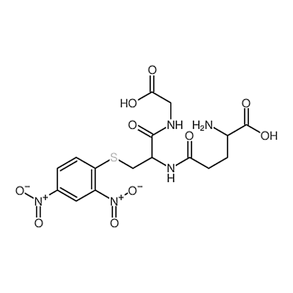 RHAWN S-(2，4-Dinitrophenyl)-Glutathione