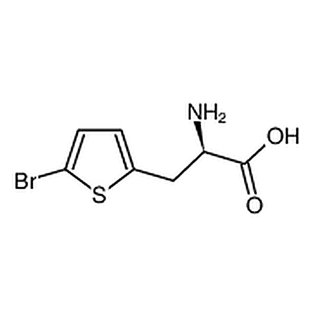 RHAWN (R)-2-Amino-3-(5-bromothiophen-2-yl)propanoic acid