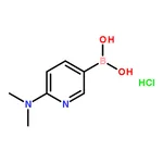 RHAWN 2-(N,N-Dimethylamino)pyridine-5-boronic acid dihydrochloride
