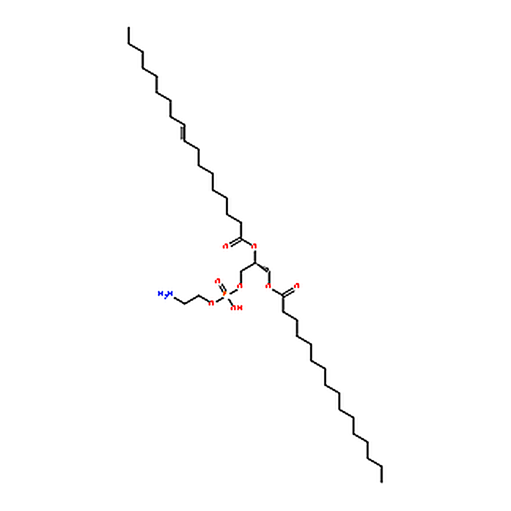 RHAWN 2-Oleoyl-1-palmitoyl-sn-glycero-3-phosphoethanolamine