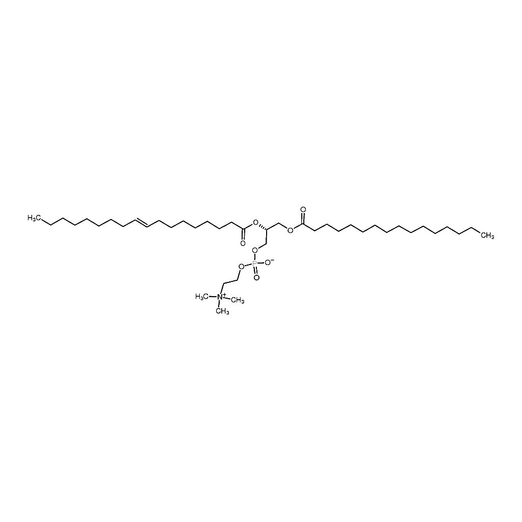 RHAWN 2-Oleoyl-1-palmitoyl-sn-glycero-3-phosphocholine