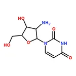 RHAWN 2'-Amino-2'-deoxyuridine