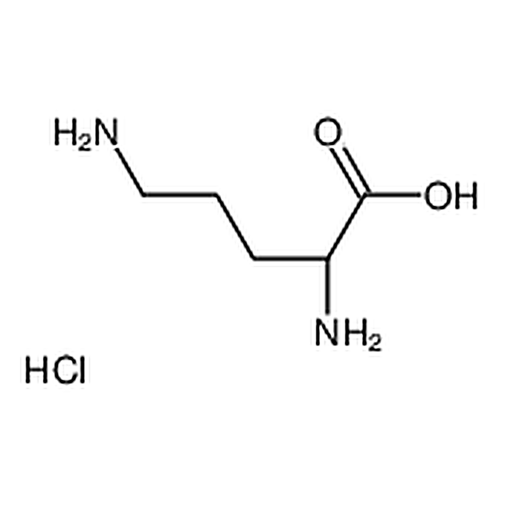 RHAWN poly-l-ornithine hydrochloride