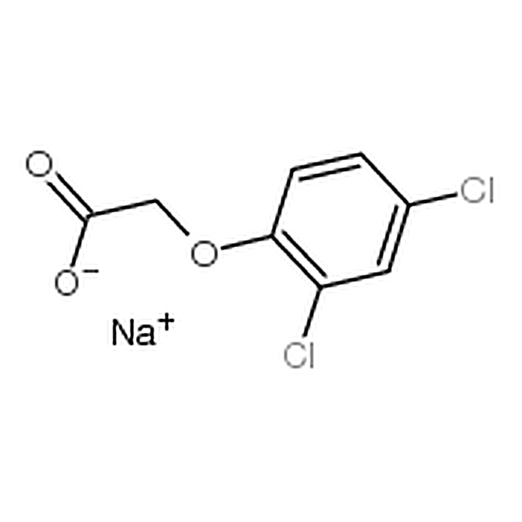 RHAWN 2,4-Dichlorophenoxyacetic acid