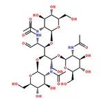 RHAWN N-acetylated Chitotetraose