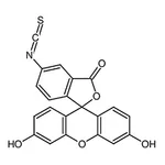 RHAWN Fluorescein5(6)-isothiocyanate