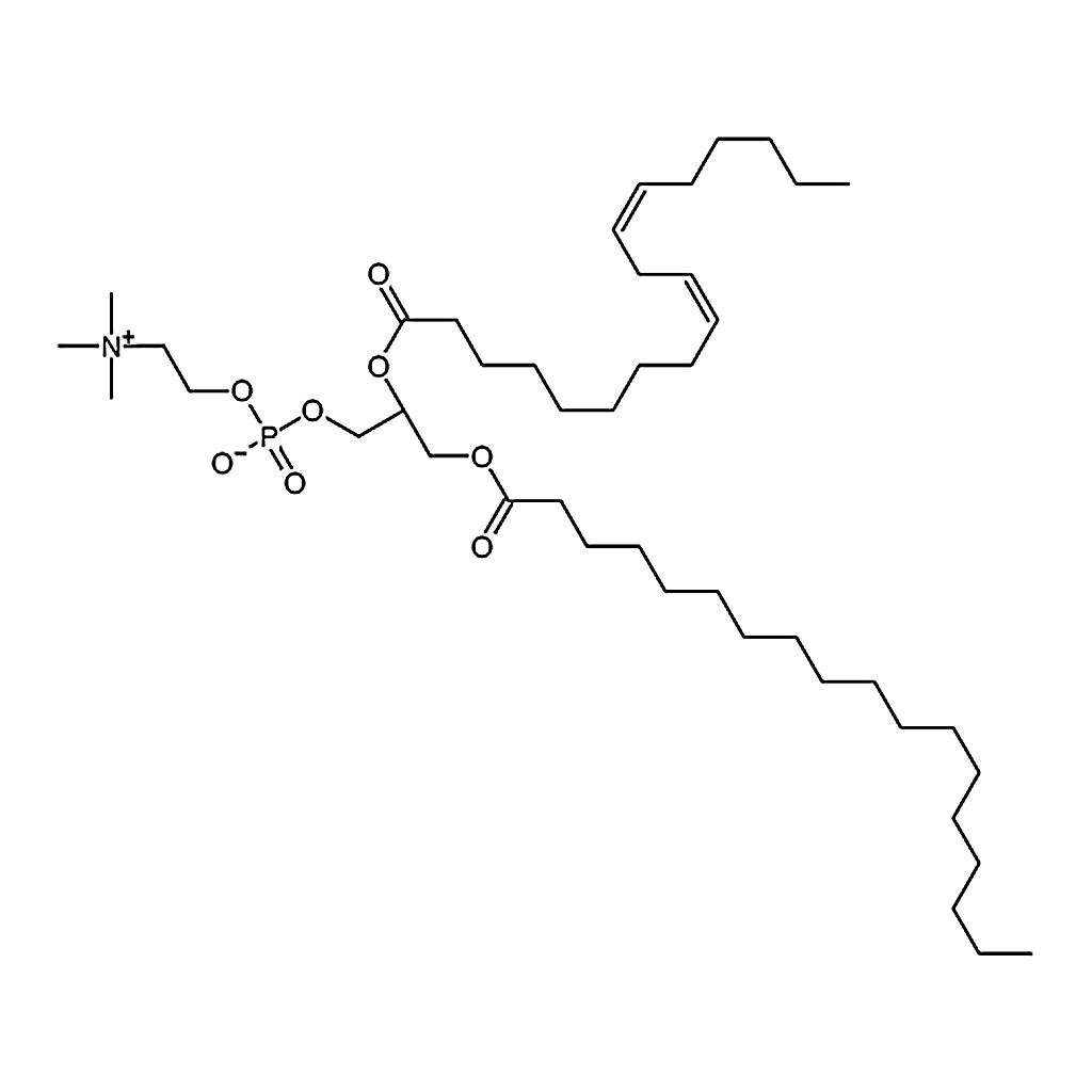 RHAWN 1-stearoyl-2-linoleoyl-sn-glycero-3-phosphocholine
