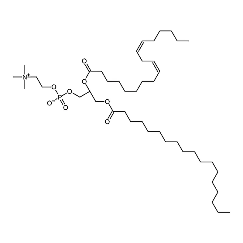 RHAWN 1-stearoyl-2-linoleoyl-sn-glycero-3-phosphocholine