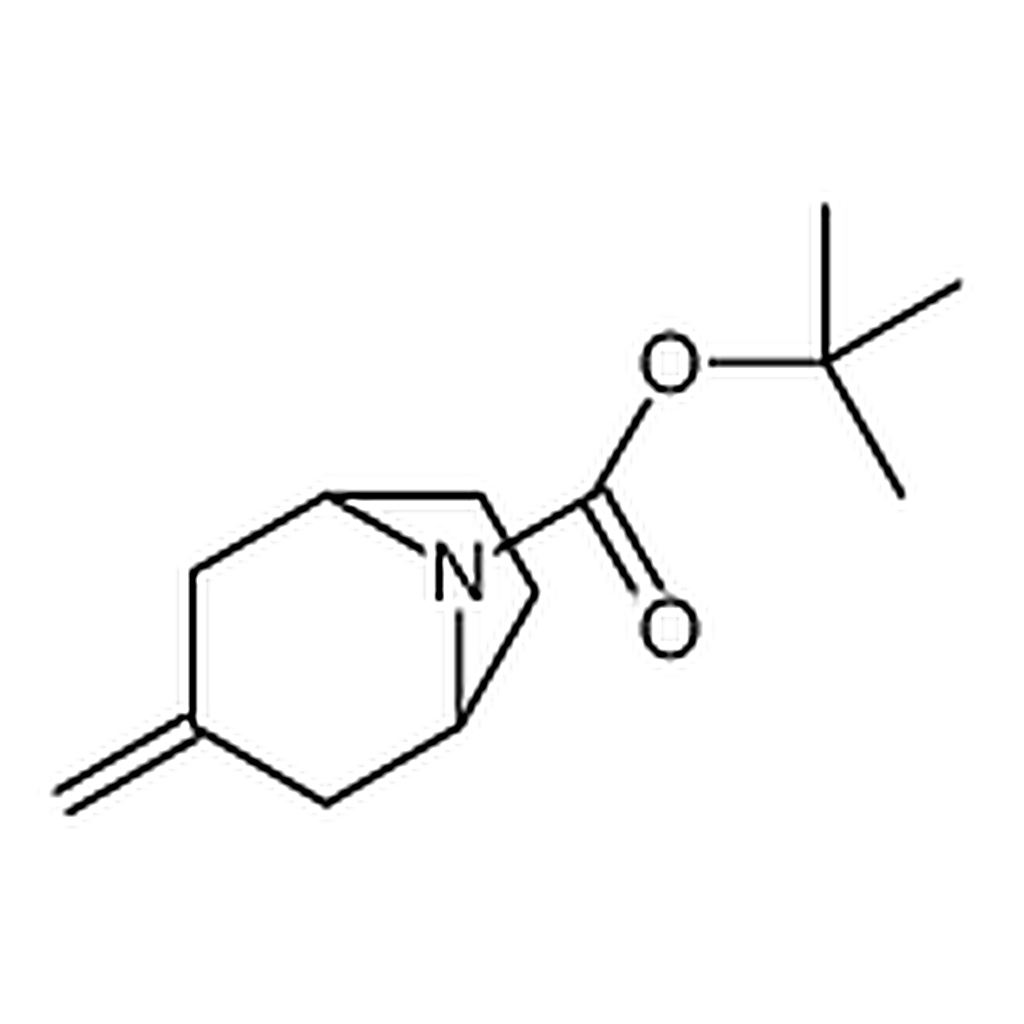 RHAWN 3-Methylene-8-Boc-8-azabicyclo[3.2.1]octane
