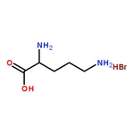 RHAWN PPoly-L-ornithine hydrobromide