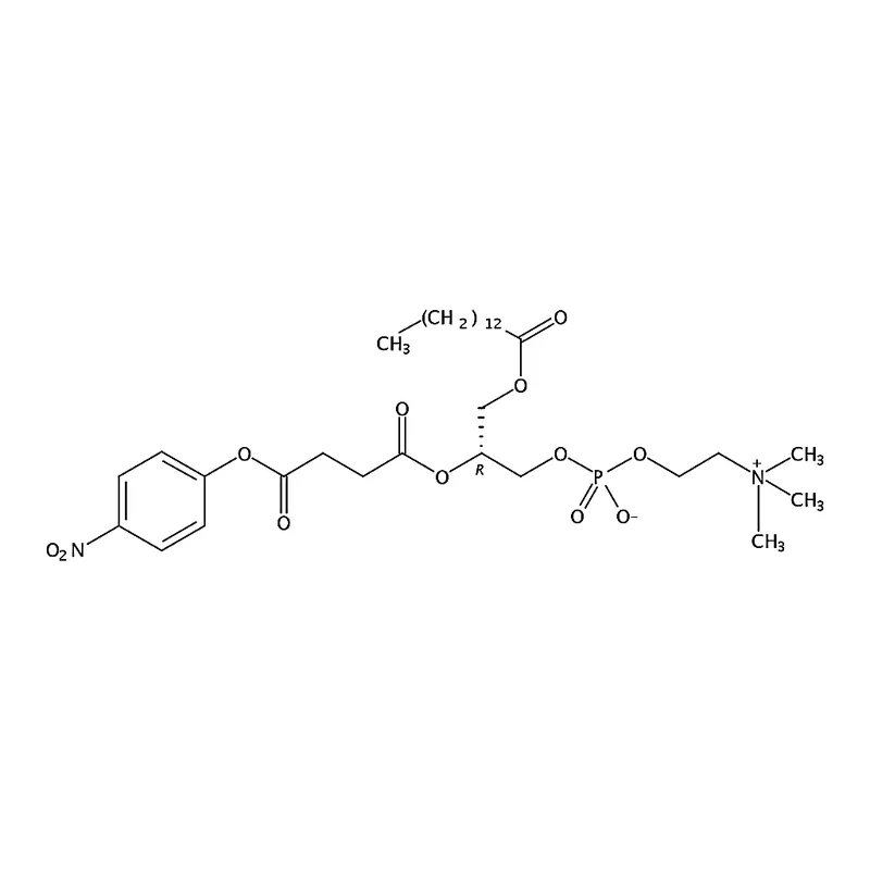 RHAWN 1-myristoyl-2-(4-nitrophenylsuccinyl)-sn-glycero-3-phosphocholine