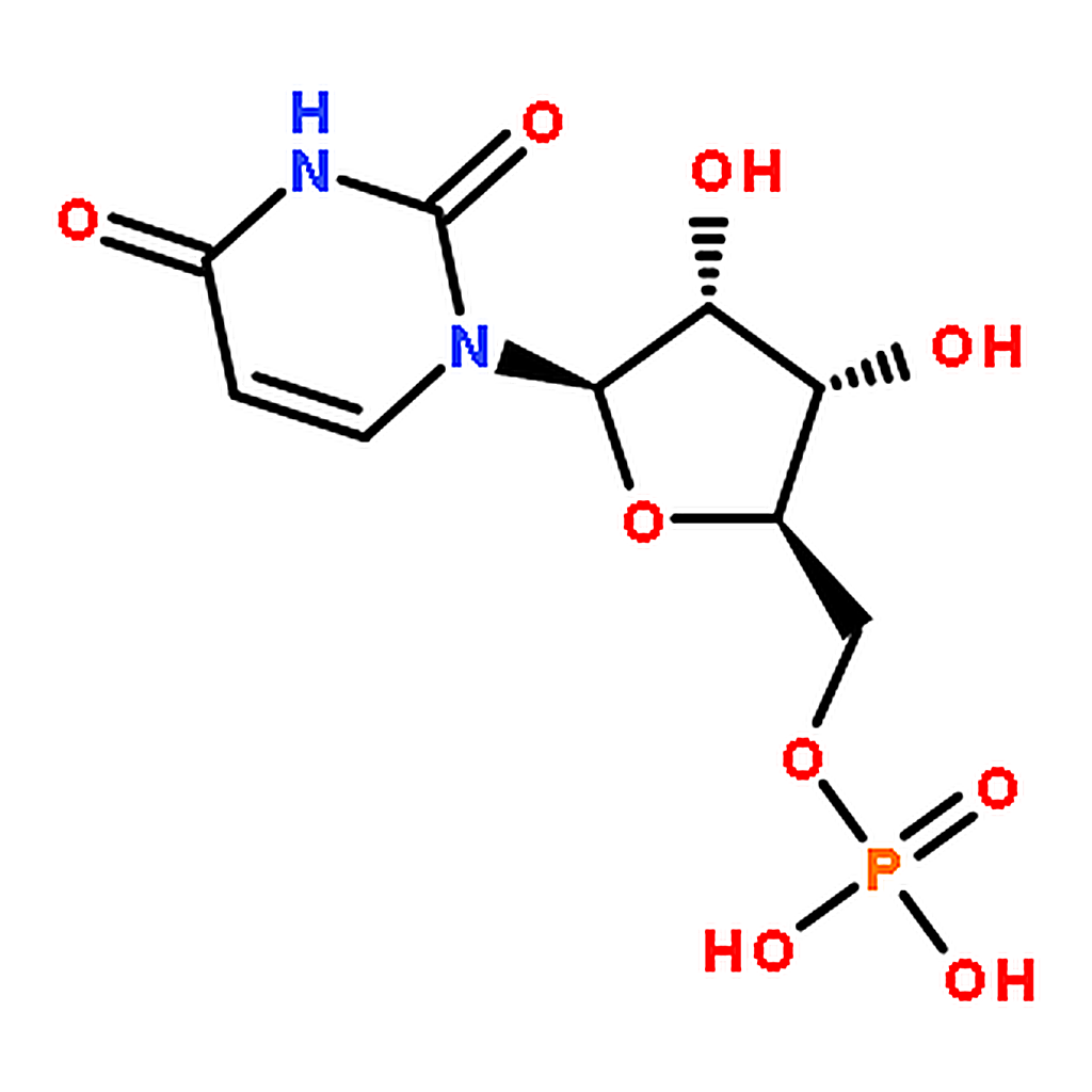 RHAWN Polyuridylic acid potassium salt