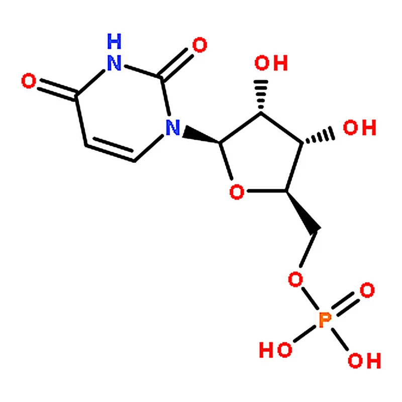 RHAWN Polyuridylic acid potassium salt
