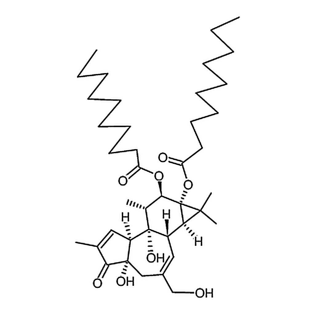 RHAWN 4-Phorbol-12，13-didecanoate