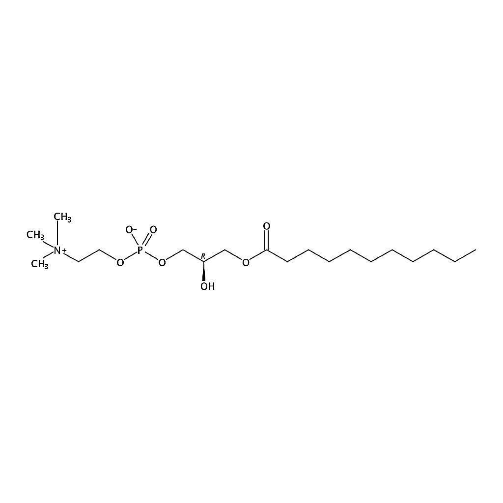 RHAWN 1-undecanoyl-2-hydroxy-sn-glycero-3-phosphocholine