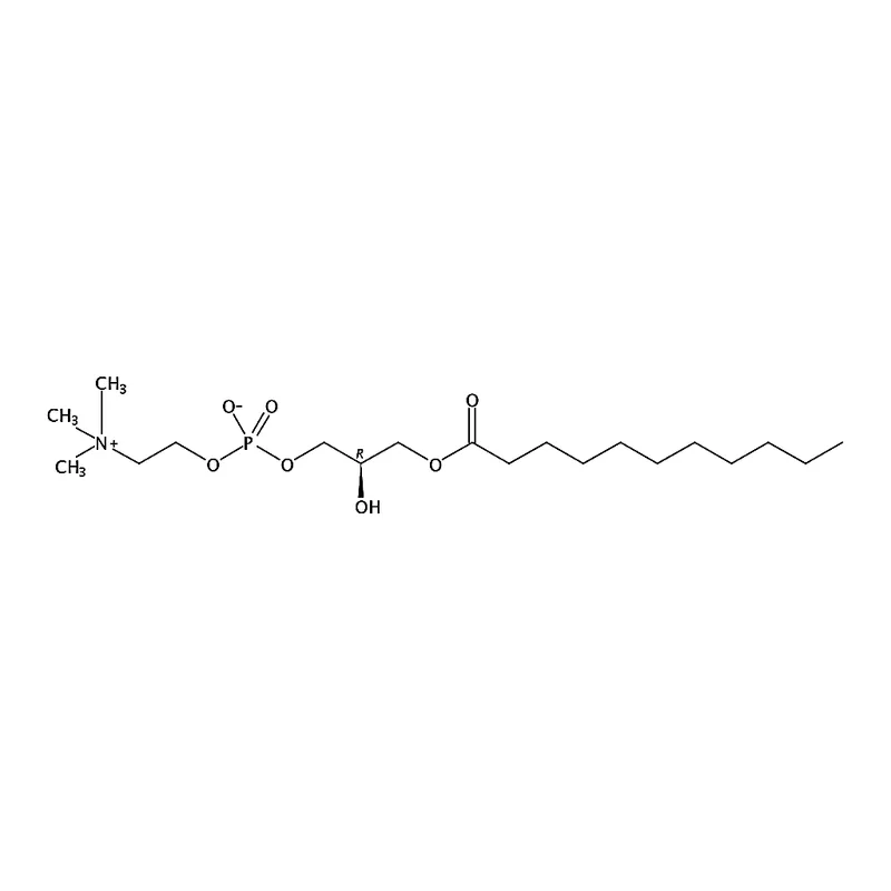 RHAWN 1-undecanoyl-2-hydroxy-sn-glycero-3-phosphocholine