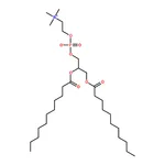RHAWN 1,2-diundecanoyl-sn-glycero-3-phosphocholine