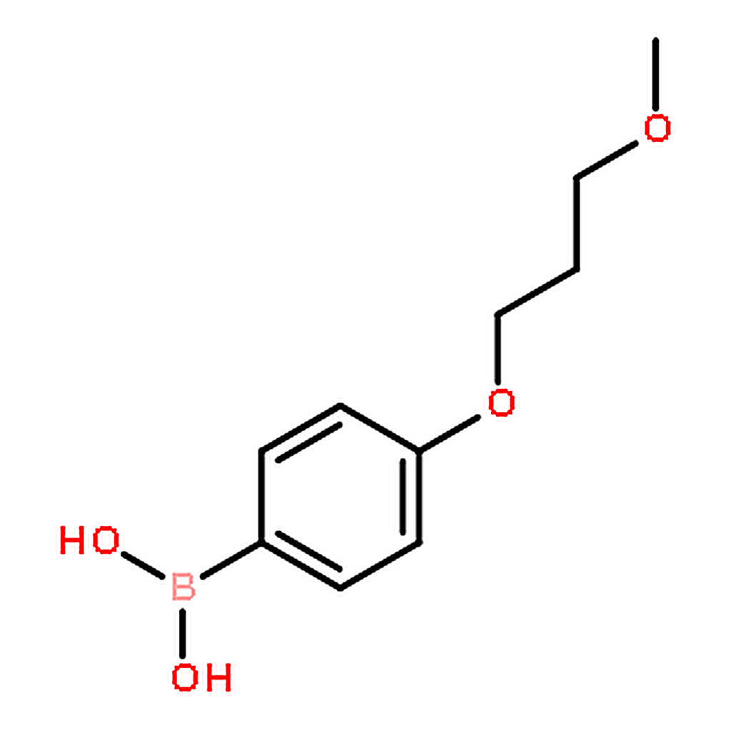 RHAWN (4-(3-Methoxypropoxy)phenyl)boronic acid