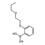 RHAWN (2-(2-Propoxyethoxy)phenyl)boronic acid