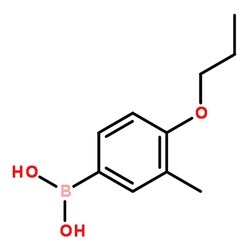 RHAWN (3-Methyl-4-propoxyphenyl)boronic acid
