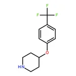 RHAWN 4-(4-(Trifluoromethyl)Phenoxy)Piperidine