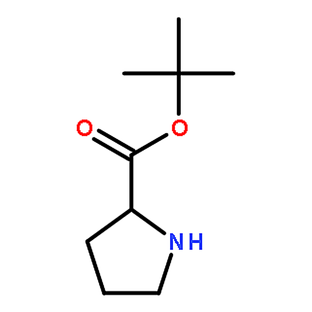RHAWN L-Proline t-butyl ester