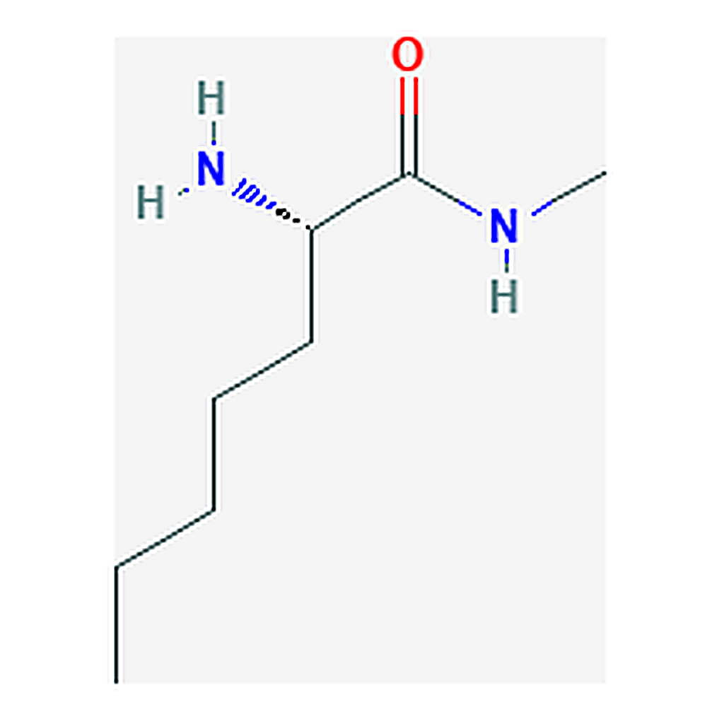 RHAWN poly(L-lysine) macromolecule