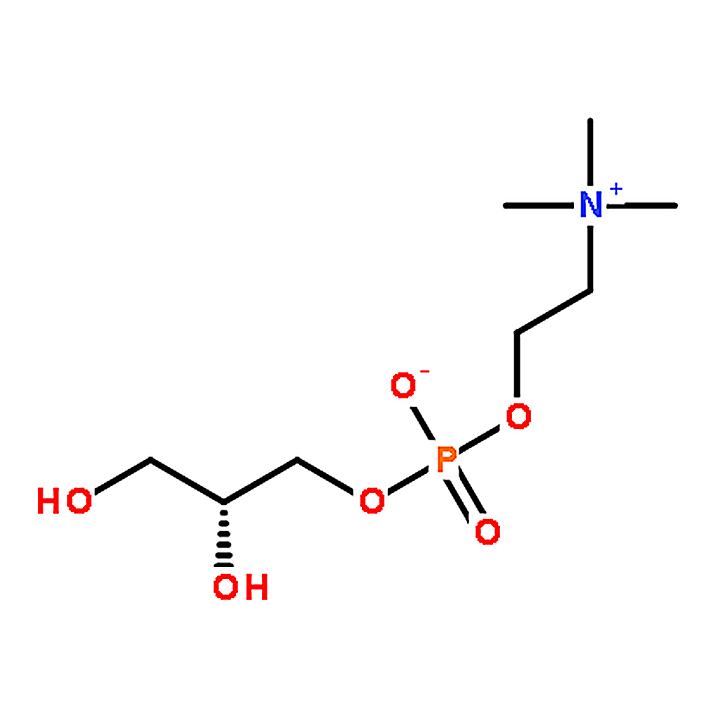 RHAWN choline alfoscerate solution