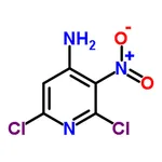 RHAWN 2,6-Dichloro-3-nitropyridin-4-amine