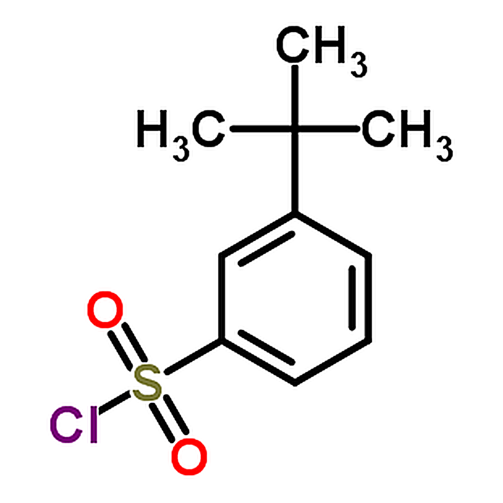 RHAWN 3-(tert-Butyl)benzene-1-sulfonyl chloride