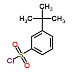 RHAWN 3-(tert-Butyl)benzene-1-sulfonyl chloride