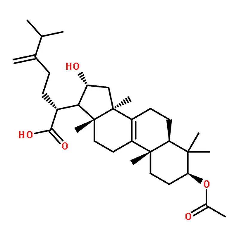 RHAWN Poria Cocos Extract