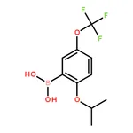 RHAWN (2-Methoxy-5-(trifluoromethoxy)phenyl)boronic acid